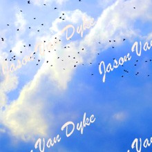 The Birds